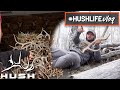 ELK ANTLER GIVEAWAY TO ONE OF YOU! | HUSHLIFE VLOG | S2EP16