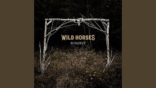 White Flag - Wild Horses