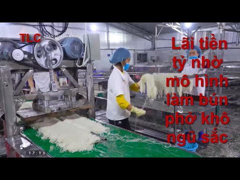 Video Lãi tiền tỷ nhờ mô hình làm bún phở khô ngũ sắc - youtube