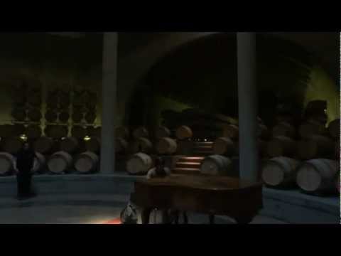 Piano en Bodega Salentein (Mendoza)