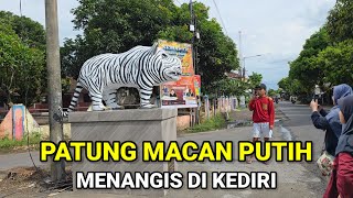Download Lagu Viral Di Kediri.! Patung Macan Putih Menangis Hebohkan Warga MP3