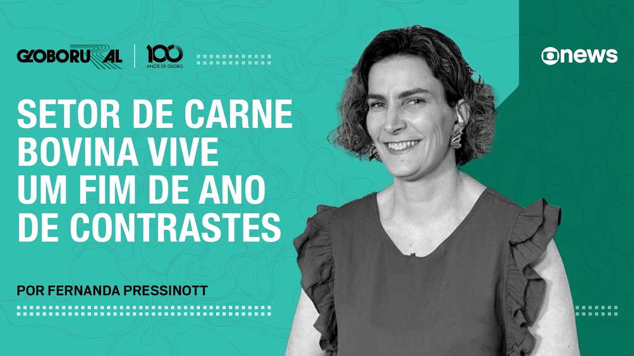 Setor de carne bovina vive um fim de ano de contrastes | Globo Rural