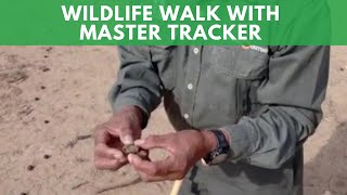 Celebrity Wildlife Walk With Master Tracker Wealth