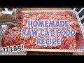 Homemade Raw Cat Food Recipe - Bulk Batch - That I've Been Feeding The Cats