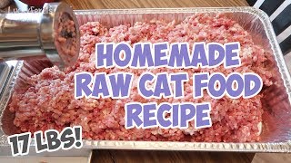 Homemade Raw Cat Food Recipe  Bulk Batch  That I've Been Feeding The Cats