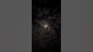 وإذ قال لقمان لابنه وهو يَعِظهُ  وصية تهز القلب وتبكي العين 😢  سورة لقمان  محمد ديبيروف #قرآن