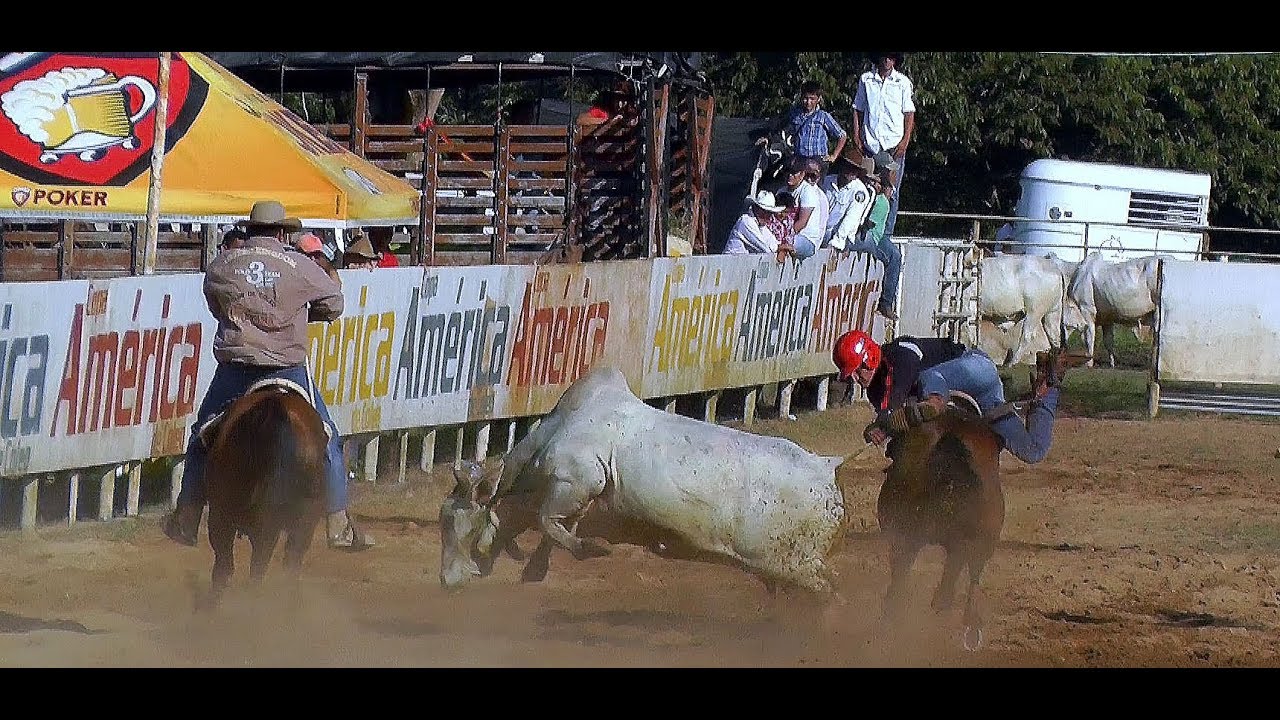 copa-america-de-coleo-youtube