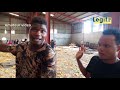 Crowd storms Covid-19 palliatives warehouse in Lagos | Legit TV