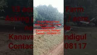 Low Budget Pure Red Soil Land, in Dindigul #best, #13acre, #cheapest, #mangofarm, #agri, #business,