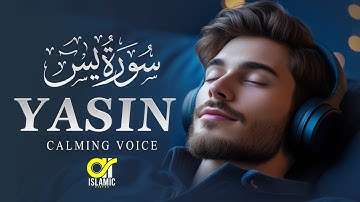 Surah Yasin (Yaseen) سورة يس | Relaxing emotional best voice ever | EP -75 | @islamicvideos.a.r