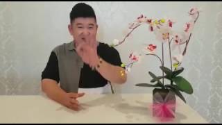 蔡老师《元气辟谷》21天辟谷感受