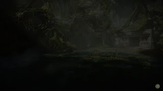 Nioh 3 | Bug – Got locked out of a boss fight as a summon... partially?