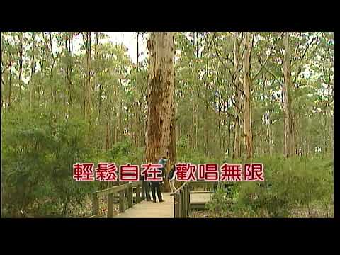榕樹下~余天~男Bb調~伴奏導唱~金嗓