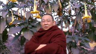 20130121 A MVI 3006 e Sayadaw's experiences in practicin