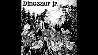 Dinosaur (Jr.) - Dinosaur (1985) (Private Remaster) - 05 Pointless