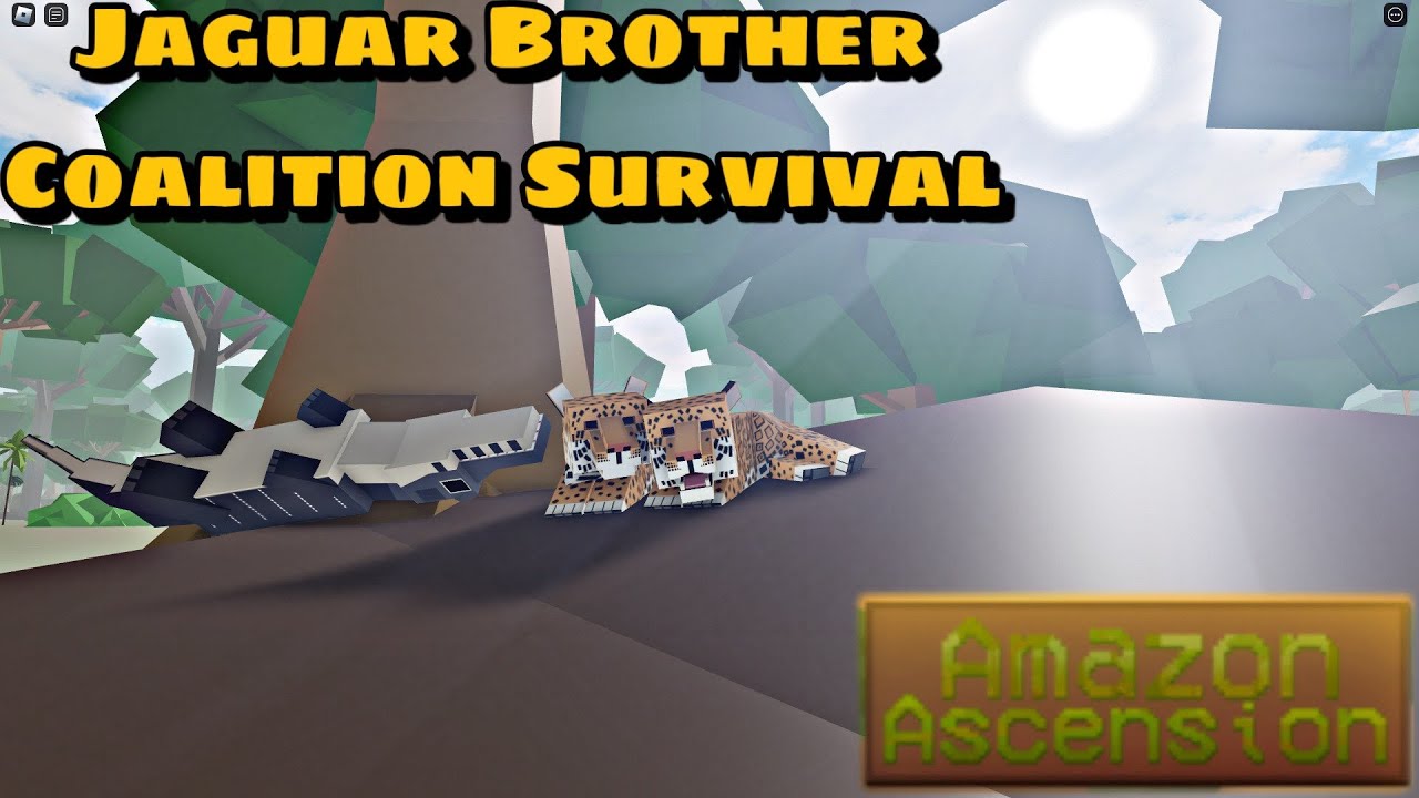 Jaguar Brother Coalition Survival | Amazon Ascension