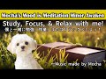 Meditation BGM Study/Work/Relax [勉強/作業/リラックスBGM] Awaken Album
