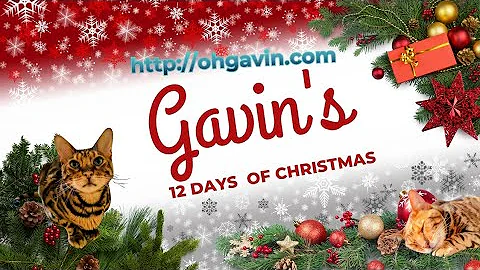 Grab Your Gavin Goodies Before They’re Gone! 🎄 Store Closing After Christmas  http://ohgavin.com
