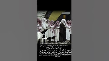 #ياسر_الدوسري #تلاوة رائعة ماشاءالله تبارك #قرآن #تلاوات_خاشعة