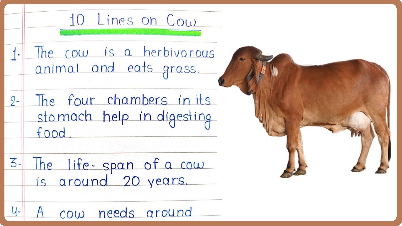 10 Lines on Cow in English for Children and Students of Class 1, 2, 3, 4,  5, 6