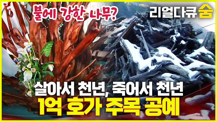 불에 강한 나무! 천 년의 기다림, 1억 호가 주목 공예 | 리얼다큐 숨