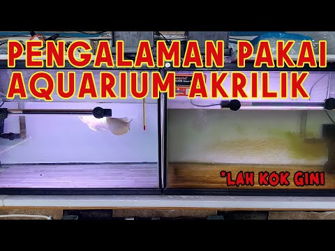 Video: Bagaimana Mengalihkan Akuarium Kaca Kosong Lebih 75 Gallons dalam Saiz