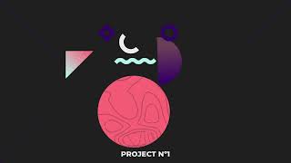 Project N1E2