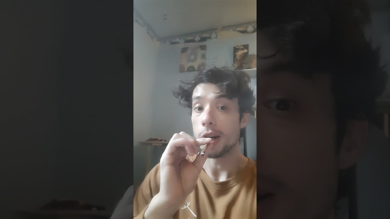 Blue Dream Strain review. Blue Dream or Blue Nightmare?