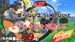 【リングフィットアドベンチャー】動けば減るから問題ない、、それか筋肉、、