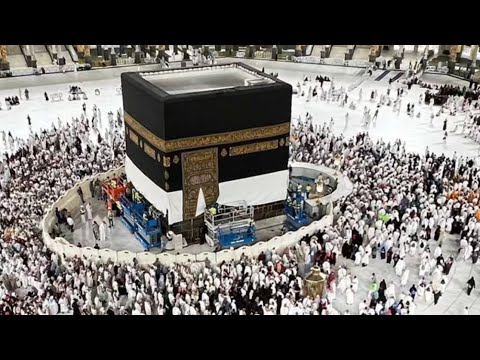 بدء أعمال رفع كسوة الكعبة المشرفة جريا على العادة السنوية استعدادا لموسم الحج 1446هـ كسوة الكعبة بدء أعمال رفع كسوة الكعبة المشرفة جريا على العادة السنوية استعدادا لموسم الحج 1446هـ كسوة الكعبة