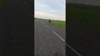 Main a raha hun wapas # short video # like and subscribe #