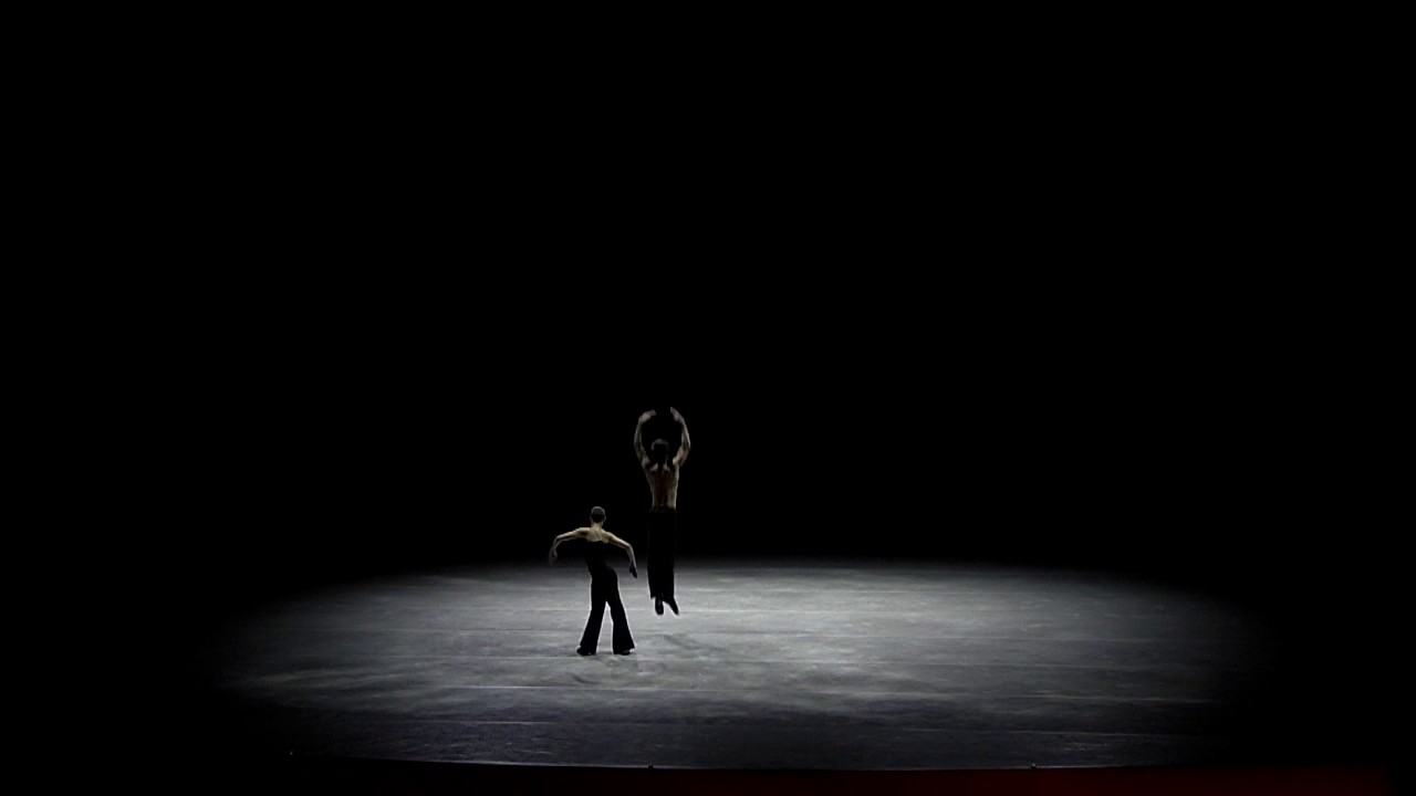 BLACK SWAN MARCO GOECKE