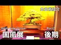 [4K LONG] 第94回 国風盆栽展 後期
