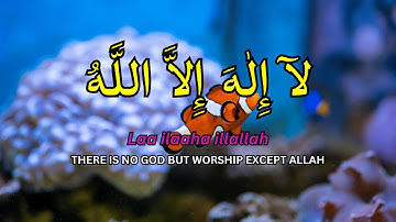 LAILAHAILLALLAH: Calming Islamic Dzikir for Relaxation, Stress Relief & Peaceful Sleep #49