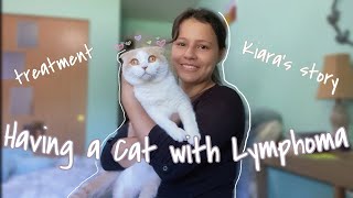 What It's Like Having A Cat with Stage 4 Lymphoma (Kiara's Story & What She Experienced)