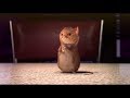 Bari Mukik Haykakan Mult Մկնիկի Երգը Մուկիկի Երգ Puy Puy Mknik Song About A Mouse For Kids