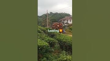 Timber loading#crain ❤️⛓️💯🔥🙏