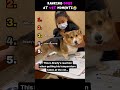 “Ranking Dogs At The Vet 😂 #1 Had A MELTDOWN”