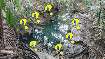 CSRV 38 | Thử CÂU CÁ LÓC ở cái vũng nước nhỏ sau nhà và cái kết bất ngờ ngoài mong đợi