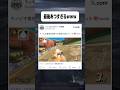 キノピオ最強決定戦で1位取ったったwww #マリオカートワールド