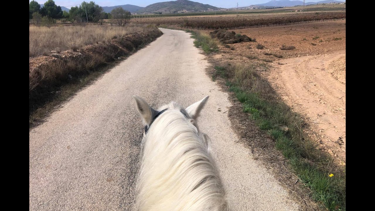 Villa in Monova (equestrian property)