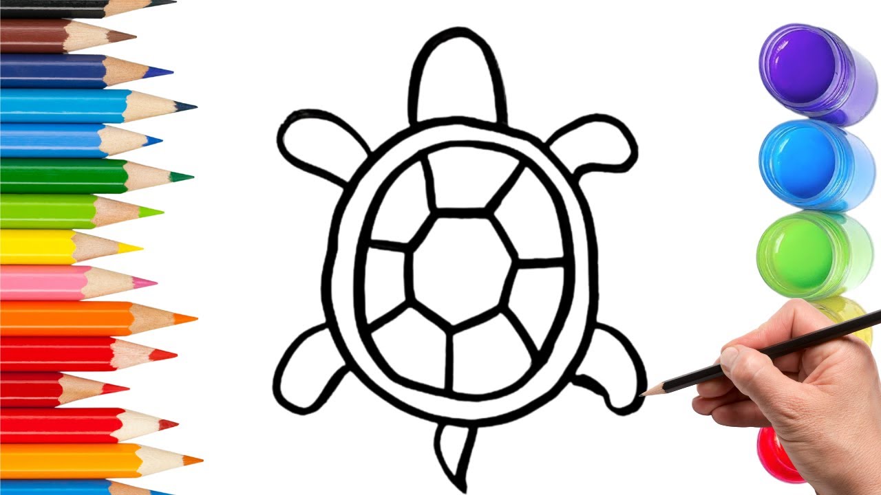 How To Draw cute tortoise Drawing, Painting & Coloring For Kids and Toddlers_ Child Art 🐋🌈