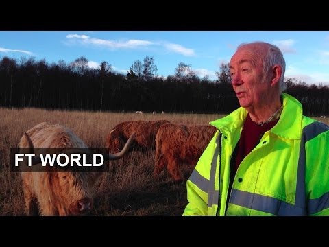 Scotland’s undecided voters