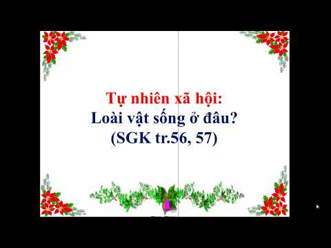 Lớp 2 - TNXH - Bài: Loài vật sống ở đâu (trang 56, 57) - Một số loài vật sống trên cạn (trang 58, 59)