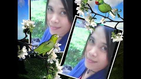 merpati band tak rela.