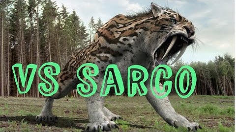 Smilodon vs Sarcosuchus | path of titans