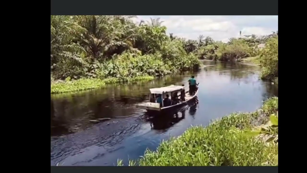 Terjadi lagi di sungai bangko rokan hilir,,seekor buaya menerkam manusia!!!