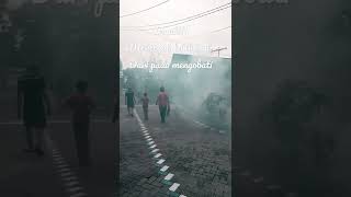 WASPADA DEMAM BEDARAH / 3m & fogging  #shorts #shortvideo #shortsvideo #dbd #demamberdarahdengue