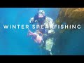 Winter Spearfishing With A Shark!