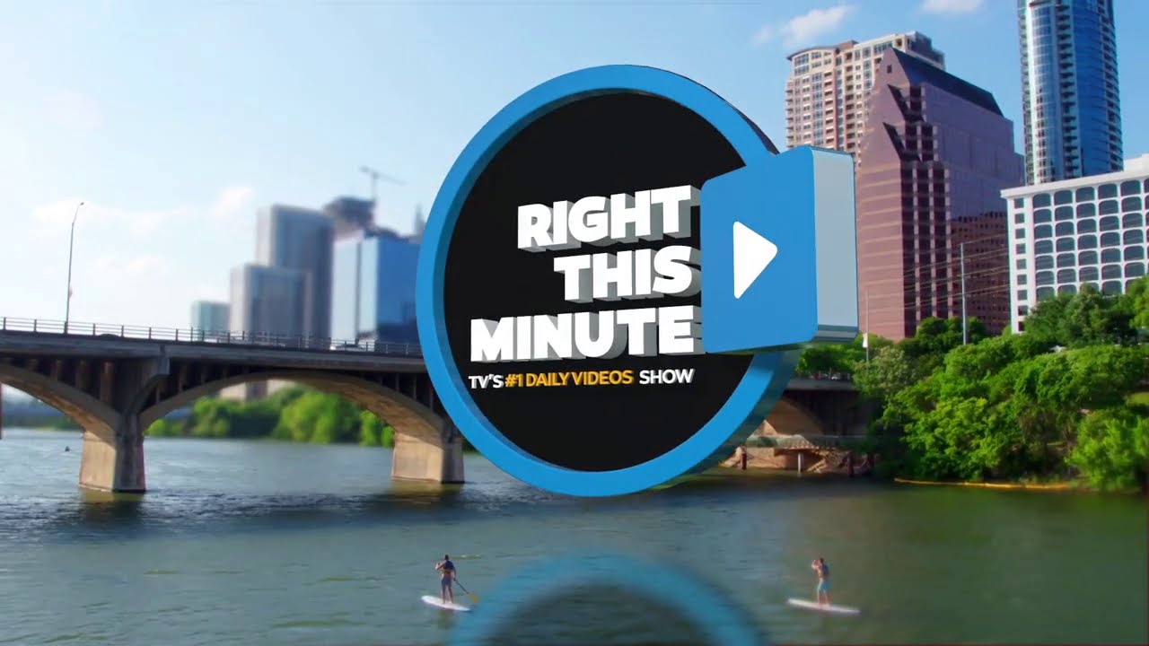 Hazel the Donkey On A TV Show 'Right This Minute'